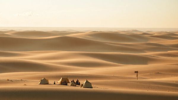 Campings dans les landes : top 5 pour des vacances actives et relaxantes